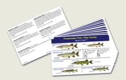 Fish Ident-I-Cards
