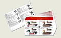 Complete Set of 9 Waterfowl Ident-I-Cards. Waterproof and Pocketsized.