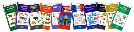 Pocket Naturalist Field Guides designed specifically for outdoor use. Species Identification of plants, insects, fish and wildlife as well as reference information on the natural world, survival skills and many other outdoor topics are available.