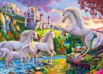 Unicorns & Castle 1...