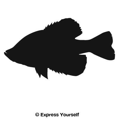 Download Crappie Decal