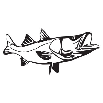 Sticker Decal Fly Fishing Common Snook, PNG, 700x700px, Sticker