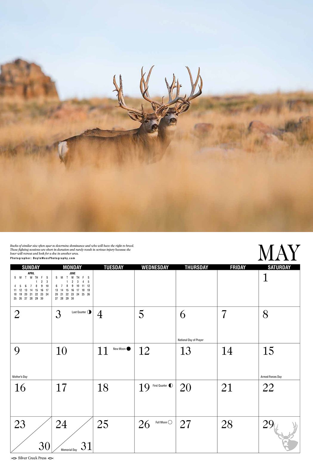 Mule Deer 2021 Wall Calendar