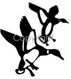 Flying Ducks Decal