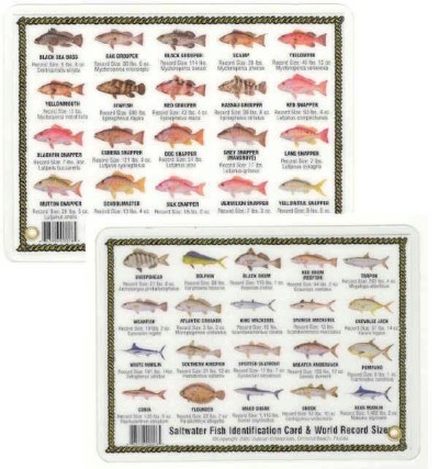 Fish ID Card - South Atlantic & Gulf Saltwater Fish