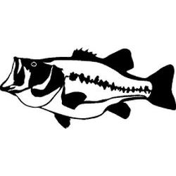 Largemouth Bass Fishing Decal - Largemouth Bass Fishing Sticker - 2204
