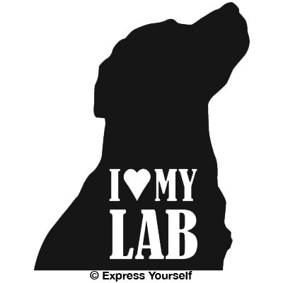 i love my lab