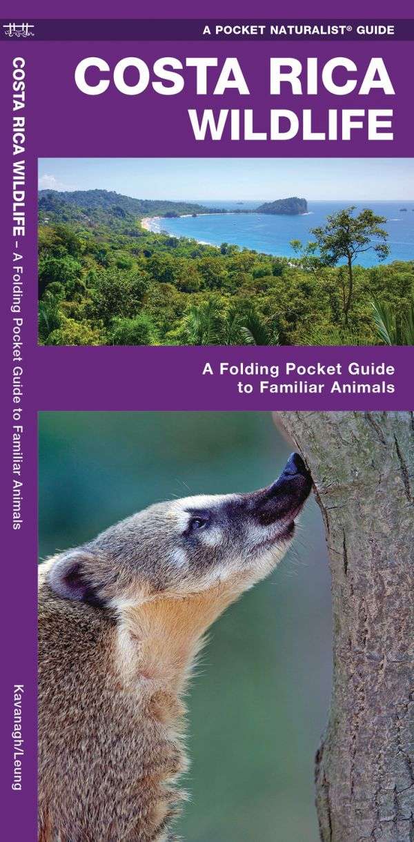 Costa Rican Wildlife - A Pocket Naturalist Guide