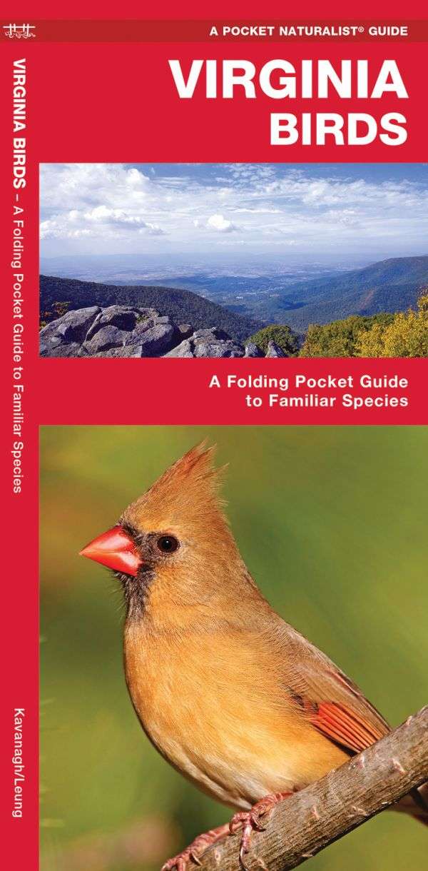 Virginia Birds - A Pocket Naturalist Guide