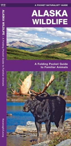 Alaska Wildlife - A Pocket Naturalist Guide