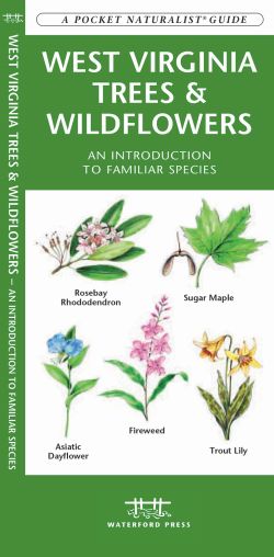 West Virginia Trees & Wildflowers - Pocket Guide