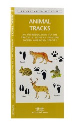 Laminated Field Guides for Species Identification, Nature, Survival