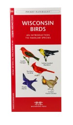Wisconsin Birds - A Pocket Naturalist Guide