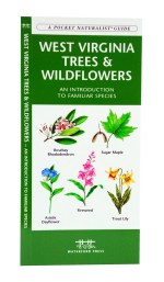 West Virginia Trees & Wildflowers - A Pocket Naturalist Guide