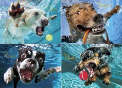 Underwater Dogs: Pool Pawty 1000-Piece Puzzle