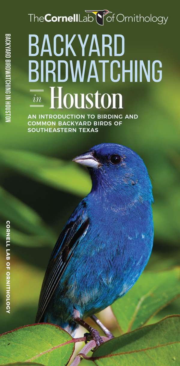 Backyard Birdwatching in Houston Pocket Guide