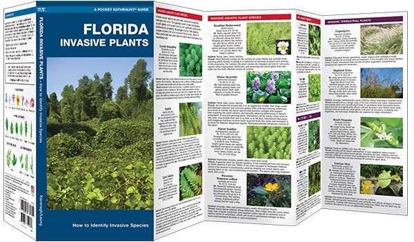 Florida Invasive Plants - Pocket Guide